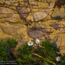 슬로시티삼지내마을 | 가을, 참 이쁘다-담양 창평슬로시티 삼지내마을