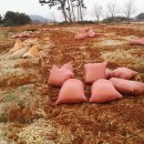 순동농장 이미지