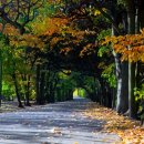 휘트니스센터 이미지