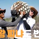 가브리엘농장 이미지