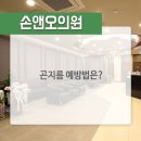 손앤오 의원 이미지