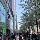 (주)메이트네트웍스 | 강남역 미니소 치이카와 및 주말 방문 솔직 후기
