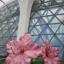 정선농장 | 강서구 가볼만한곳 후기[서울식물원~양천향교~궁산땅굴~겸재정선미술관]+[팽오리농장 본점]