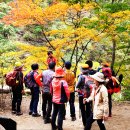 설악산 용소폭포코스 탐방/2019. 10. 17. 이미지