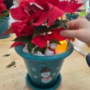 봉무초등병설 이미지