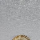 물질없는 현상은 없다ㅡ 물질 없이 암은 발생하지 않는다 ㅡ 암 치료법 획기적 발상이 필요하다ㅡ발암물질 제거가 최고의 암치료제 이미지