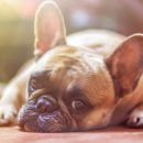 더파머스 이미지