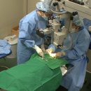 명복농장 이미지