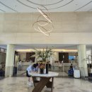 오케이마디의원 | 보홀 여행_2025.07.17~2025.07.22(4박6일)_나는 보홀을 가지 않았다