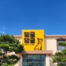 김제강아지 | 전주 근처 애견카페 김제 댕굴댕굴 강아지 놀이터 수영장 솔직후기