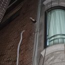 553 | 성남경동보일러 야탑동 노후 보일러 교체 - 경동나비엔 NGB553-13K 설치 및 안전 시공 후기