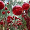 성수연방 이미지