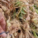 단군농장 이미지