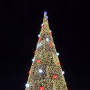 #카라반여행D27-1(T282)#고령 #함평 이미지