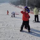 스키를 재미있게 배우는 우리 아이들... 이미지