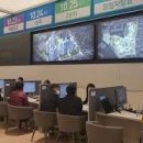 더포레스트 이미지