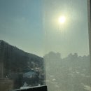 처음 맡겨본 유리창 청소, 만족도 리얼 후기