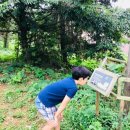 국립생태원 이미지