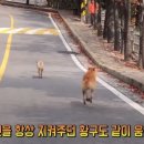 백구건강원