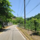 모더니컬 이미지