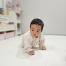 멍뽀인트 이미지