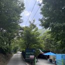 봄자리골천 | 대전근교 계곡평상 청강수폭포가든 솔직후기