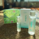 (주)솜바이오 | 저자극 진정토너 엘가닉 캔토너 2주 사용 후기 (항암준비물 추천)