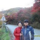 지리산유랑 이미지