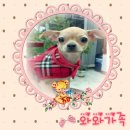 패밀리와와 이미지