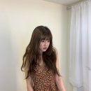 그루밍 호찌 이미지