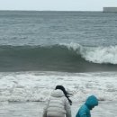 영철돈까스 | 8급 공무원 그만두고 부산 대표님? 나는솔로 22기 옥순, 연봉 추정 불가한 본업 대공개