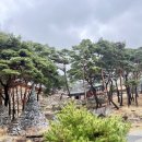 265차 부산 금수강산 산악회 대구 비슬산 산행 안내 이미지