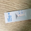 속보는내과의원 | 경산 신속항원 검사 가능 병원 검사후 확진 받은 후기