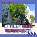 수리산로 | 군포 벌목업체 단지 내 나무 전지 작업 후기