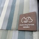 도그스쿨 이미지