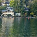 바이올린 (B) 이미지