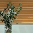 광장1길 이미지