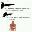 윤곽수술 말리는 달글 캡쳐 이미지