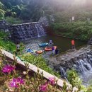 오서산 늘봄 가족독채펜션 이미지