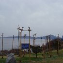 노을자리 이미지