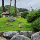 청흥농장 이미지