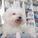 해피올동물병원 이미지