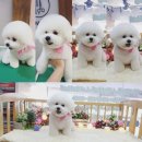 그루밍031 이미지