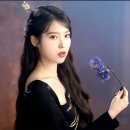 오빠돼지 이미지