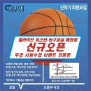 얼라이브스포츠매헌