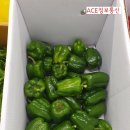 경진상회 이미지