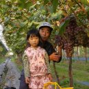 유신농장 이미지