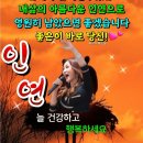 설특집 성경 라이브 스토리. 울엄마 이미지