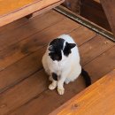 미로공원 화장실 이미지