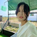 서현호스텔 | [제주도] 4박5일 제주 한바퀴 여행코스 (2)